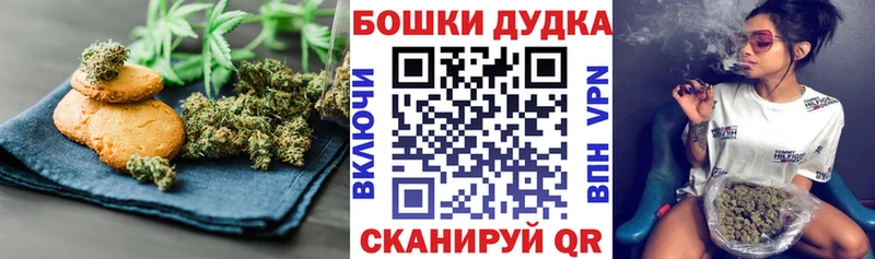 продажа наркотиков  Канаш  Canna-Cookies марихуана 