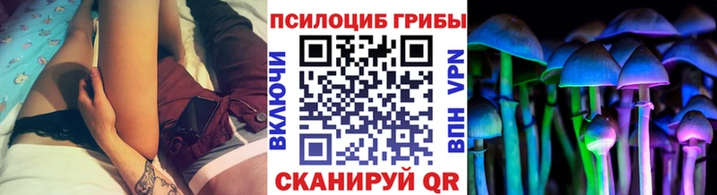 Галлюциногенные грибы MAGIC MUSHROOMS наркота Канаш